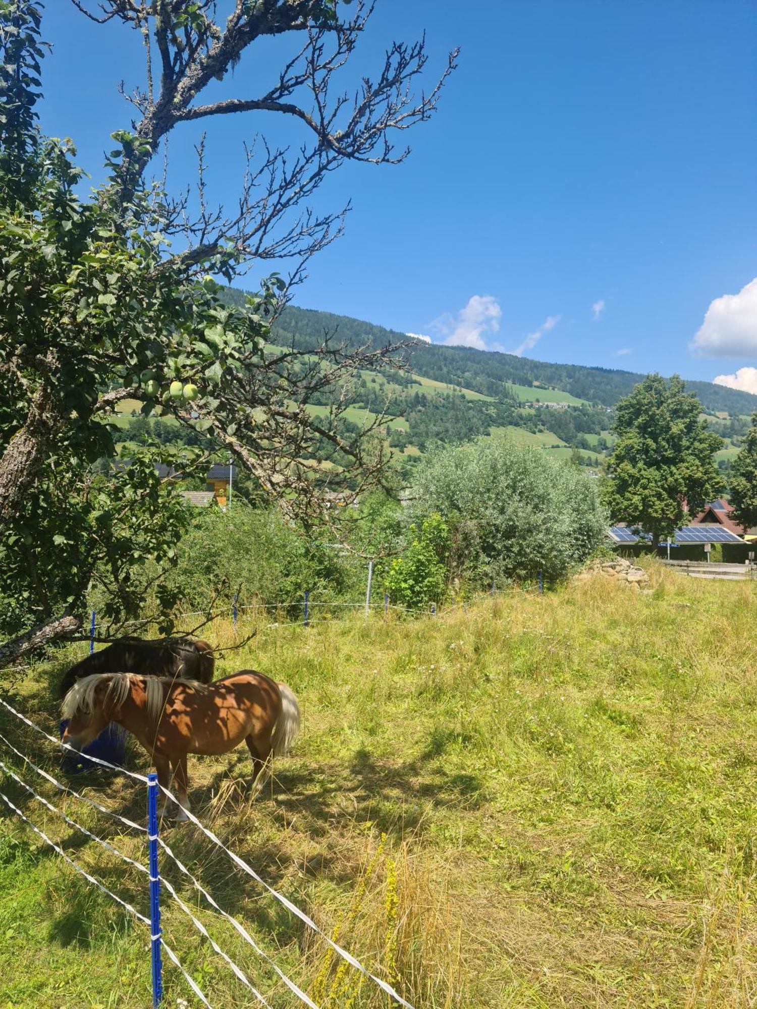Kreischberg Superior With Sauna St. Lorenzen ob Murau Zewnętrze zdjęcie